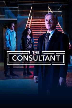 The Consultant