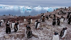 Our Planet – Bolygónk csodái kép