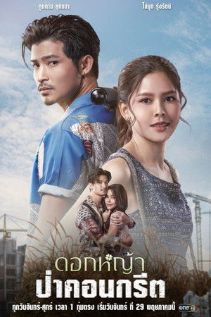 ดอกหญ้าป่าคอนกรีต poszter