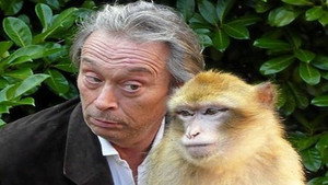 La Vie Privee des Animaux kép
