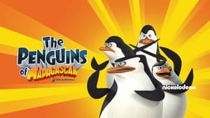 A Madagaszkár pingvinjei kép