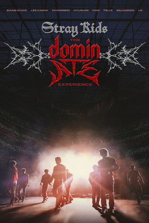 Stray Kids: The dominATE Experience poszter