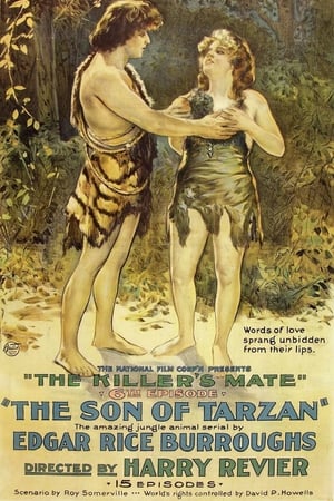 The Son of Tarzan poszter