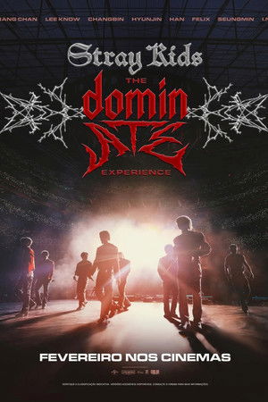 Stray Kids: The dominATE Experience poszter