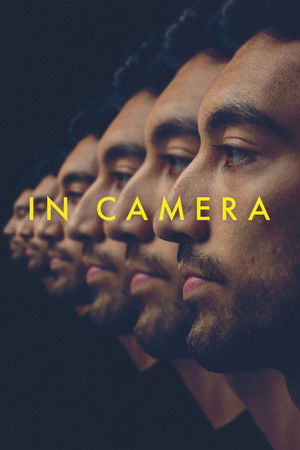 In Camera poszter