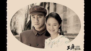 金婚·风雨情 kép