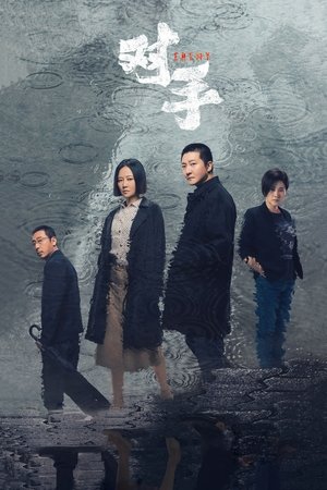 对手 poszter