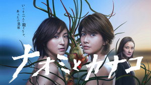 ナオミとカナコ kép