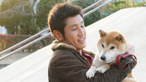Shiba Park háttérkép
