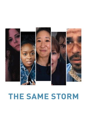 The Same Storm poszter