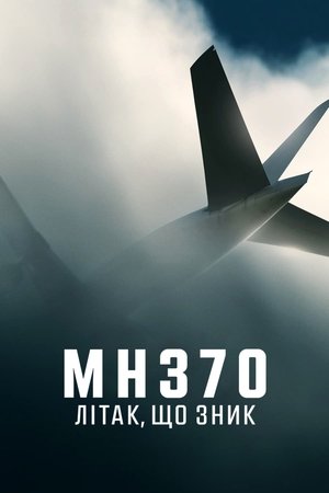 MH370: Az eltűnt repülőgép poszter
