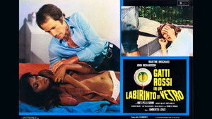 Piros macskák az üveglabirintusban háttérkép