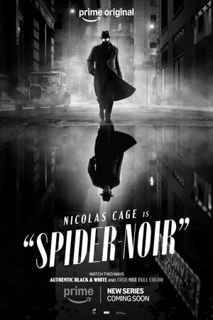 A Pók: Noir poszter