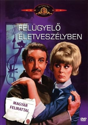 Felügyelő életveszélyben