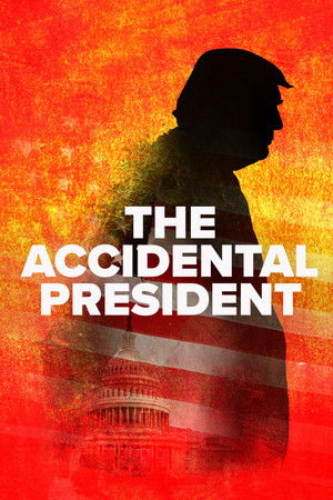 The Accidental President poszter