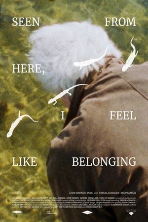 Seen From Here, I Feel Like Belonging poszter