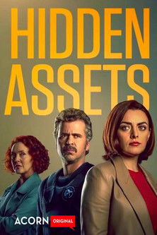 Hidden Assets poszter