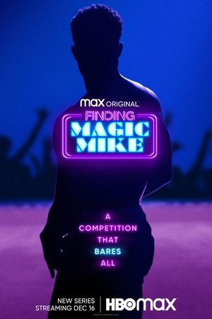 Ki lesz az új Magic Mike? poszter