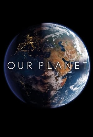 Our Planet - Bolygónk csodái poszter