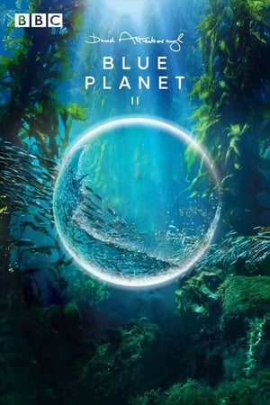 A kék bolygó II poszter