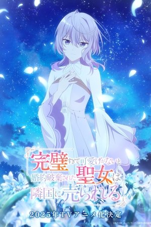 完璧すぎて可愛げがないと婚約破棄された聖女は隣国に売られる poszter