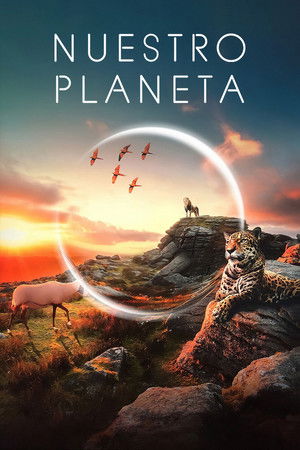 Our Planet – Bolygónk csodái poszter