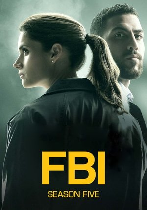 FBI: New York különleges ügynökei poszter