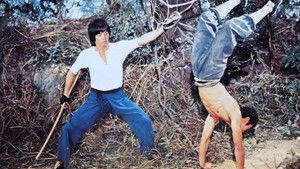 Őrült majom kung fu háttérkép