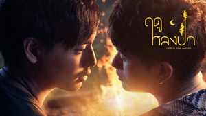 ฤดูหลงป่า kép