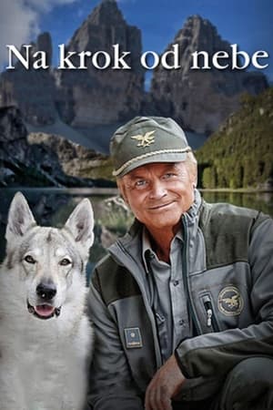 Terence Hill - Alpesi őrjárat poszter