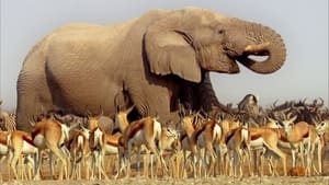David Attenborough: Afrika kép