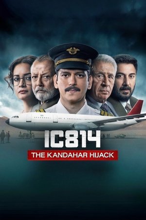 IC 814: A kandahári gépeltérítés poszter