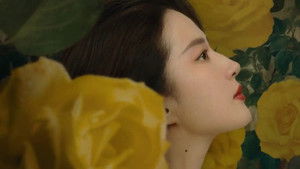 玫瑰的故事 kép