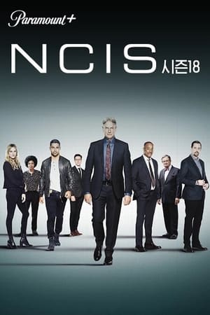 NCIS poszter