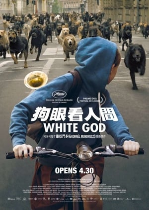 Fehér Isten poszter