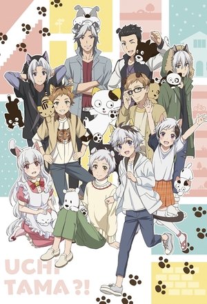 うちタマ?! ～うちのタマ知りませんか？～