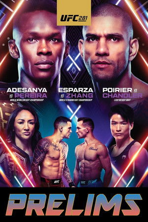 UFC 281: Adesanya vs. Pereira poszter