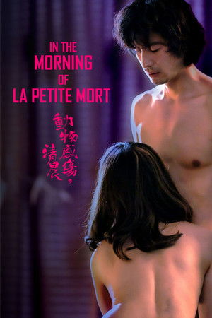 In the Morning of La Petite Mort poszter