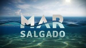 Mar Salgado kép