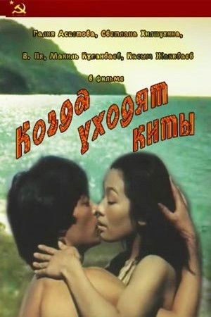 Когда уходят киты poszter