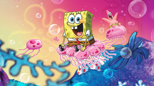 SpongyaBob Kockanadrág kép