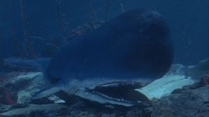 Voyage to the Bottom of the Sea Season 2 Ep.1 1. rész