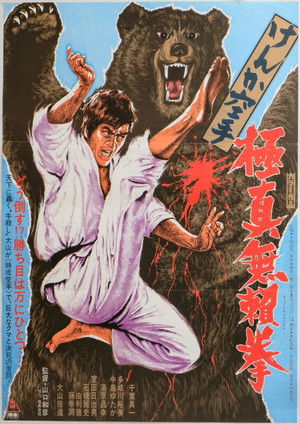 Karate Bear Fighter poszter