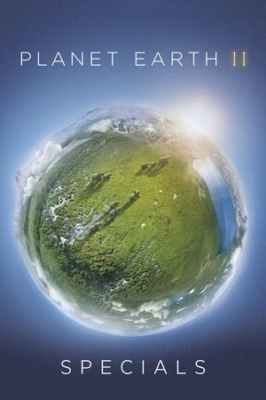 Bolygónk, a Föld 2