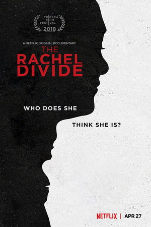 The Rachel Divide poszter