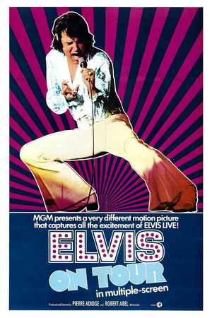 Elvis turnén poszter