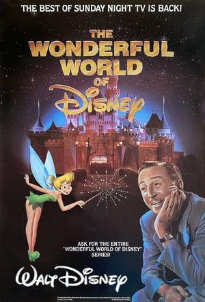 The Wonderful World of Disney poszter