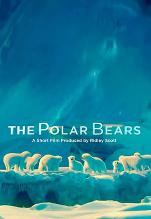 The Polar Bears poszter