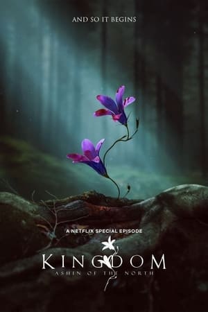A királyság titkai: Az északi Ashin poszter