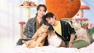 เปย์รักด้วยแมวเลี้ยง kép